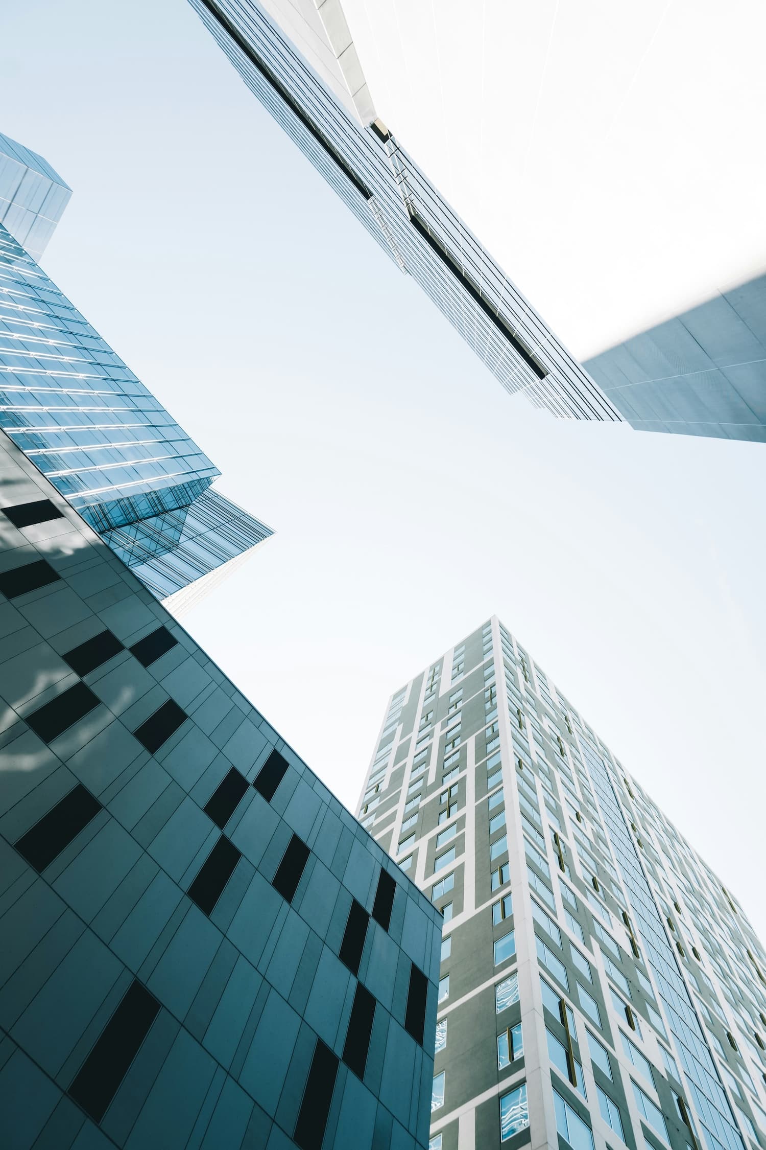 ExportTok background